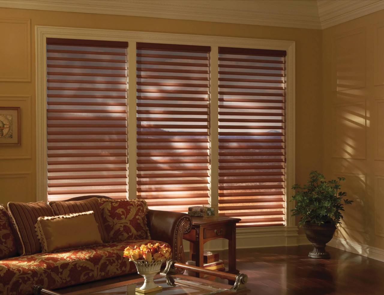 Hunter Douglas Silhouette® Sheer Shades near Sacramento, California (CA)